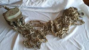 lot 230 image: Dayton 1 Ton Max Chain hoist.