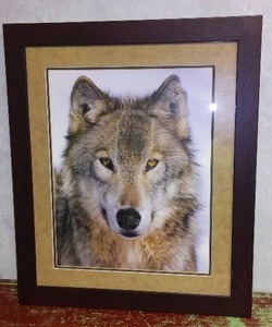 lot 74A image: Framed Wolf Print.
