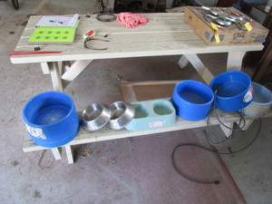 lot 50 image: Pet Dishes