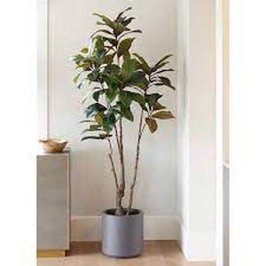 lot 50 image: Faux 6.5 Magnolia Tree
