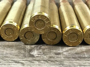 lot 444 image: 25 rounds of ammunition