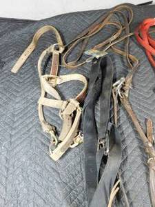 lot 336 image: Horse accessories