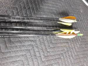 lot 351 image: Arrows and quiver