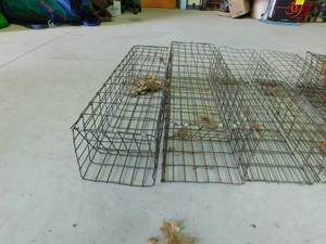 lot 367 image: 8 Live traps