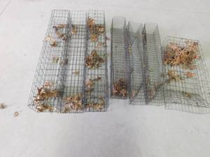lot 370 image: 8 Live traps