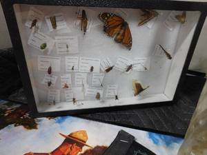 lot 526 image: Soda bottles, 2 Vintage sales office calendars bug display boxes, banners