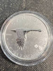 lot 14 image: 2020 CANADA $10 GOOSE 2 TROY OZ .9999 FINE SILVER IN AIRTITE