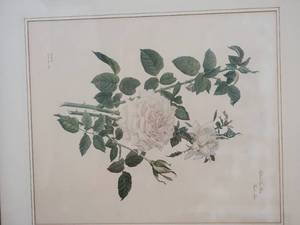 lot 65 image: White Rose Botanical Print Pair