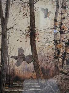 lot 84 image: SIGNED - Mystic Naturalist Fine Art Print by David Hagerbaumer - Pheasant Wood