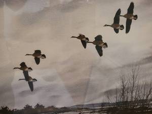 lot 115 image: SIGNED - Dreamlike Fine Art Print - Final Approach