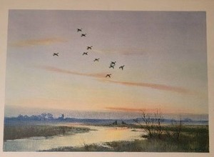 lot 113 image: Natural Fine Art Print by Peter Scott - The First Of The Evening Flight