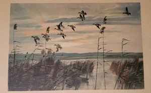 lot 112 image: Natural Fine Art Print by Peter Scott - Teal On A Grey Morning