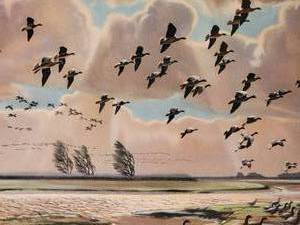 lot 111 image: Natural Fine Art Print by Peter Scott - Pinkfooted Geese Coming Out From The Fields