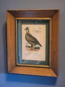 lot 153 image: Vintage Fine Art Ornithological Print Pair