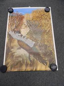 lot 28 image: RARE - VINTAGE 1974 ADVANCED TRAINING SYSTEMS TARGET COVERS POSTER - ST. PAUL MINN. - WATTPETERSON INC - PHEASANT - NICE - APPROX 25 By 36 - SEE PICTURES