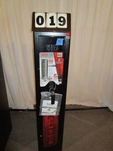 lot 19 image: Sports Afield 4 Gun Safe