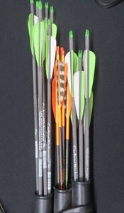 lot 36 image: CARBON WOLVERINE ARROWS IN QUIVER