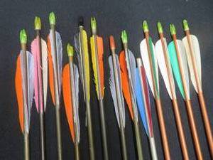 lot 63 image: 12 ASSORTED ARROWS WITH TIPS
