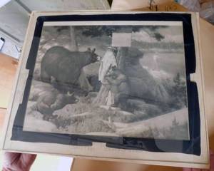 lot 14 image: Large Wood Crate of Vintage Glass Color Separation Plates and Negatives