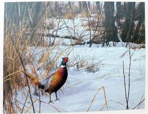 lot 46 image: Large David Maass Frosty Stroll - Pheasant Textured Print on Canvas