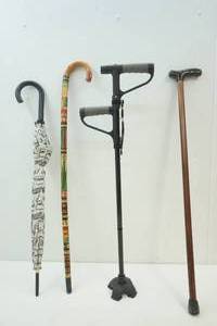 lot 102 image: Canes