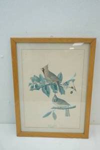 lot 362 image: bird print