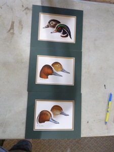 lot 99 image: Matted Duck Prints