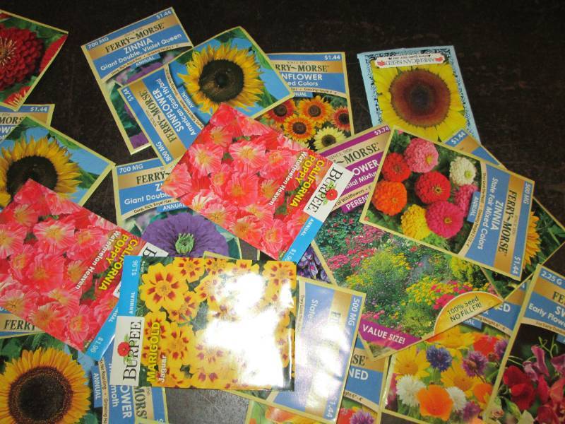lot 156 image: 25 packages of flower seeds...