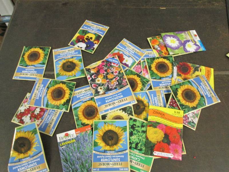 lot 162 image: 25 packages of flower seeds ...