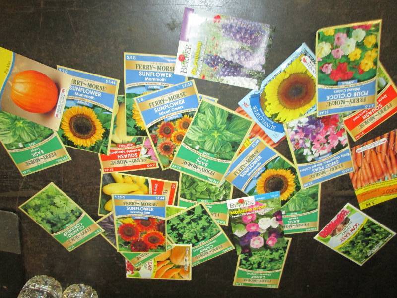 lot 176 image: vegetable seeds and flower seeds 13...