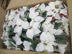 lot 81 image: case of white poinsettia bushes...