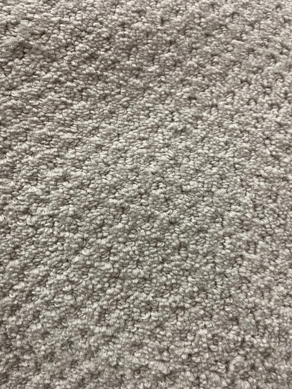 lot 132 image: 414 SF Mohawk KARASTAN Smart Strand Carpet - Greenwhich Estate 908 -12x34.5 C-1