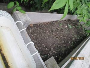 lot 7 image: Wood planter box 5.5 long...