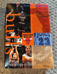 lot 215 image: Michael Jordan Wheaties Box 1996 NBA Championship Vintage Basketball Chicago Bulls
