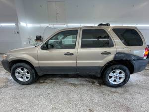 lot 10Z image: 2007 Ford Escape XLT - AWD