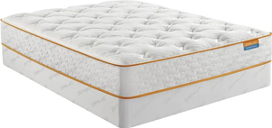 lot 1 image: Brand New Simmons Comfort Vibezzz Plush Queen Mattress