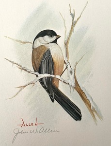 lot 259 image: 4 Signed Unframed Prints by John W. Allen