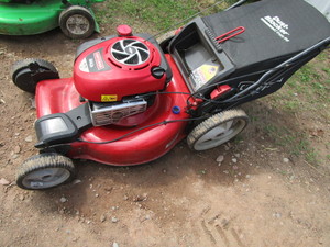 Craftsman Trim Mower