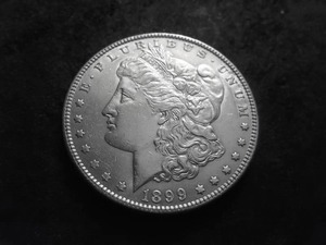 1899 Morgan Silver Dollar