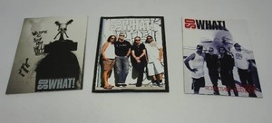 lot 45 image: (3) METALLICA Rock and Roll Hall of Fame So What Fan Club Magazines...