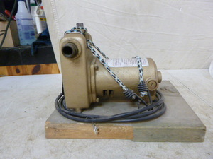 lot 8 image: Wayne Porta Pump Portable Electric Utility Pump