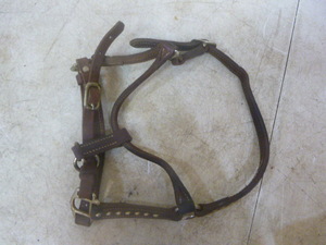 lot 66 image: Buck Stitched Yearling Halter