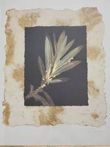 lot 32A image: Original Mixed Media Botanical Mixed Media Art by Phillip Jaeger
