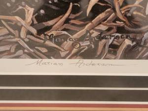 lot 270 image: Naturalist Fine Art Print by Marian Anderson - Spotted Loon