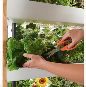 3 Level Rise Hydroponic Indoor Garden