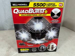 New Quadburst 5500 Lumen LED Light Bulb