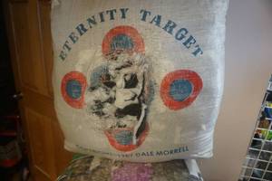 lot 187 image: Archery Range Used Eternity Target