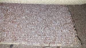 lot 726 image: Indoor-Outdoor Remnant