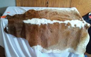lot 507 image: Cow Hide Rug  Wall Decor