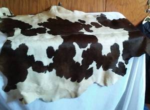 lot 509 image: Cow Hide RugWall Decor.